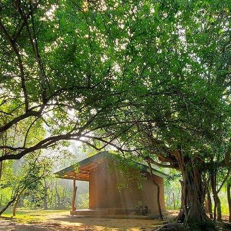 Clay Hut Village Polonnâruvâ Extérieur photo
